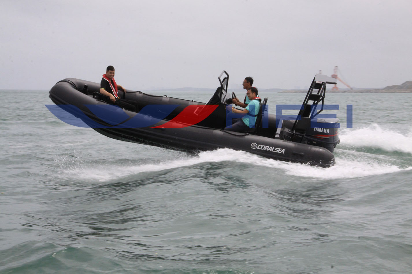 Dolphin rescue boat-1